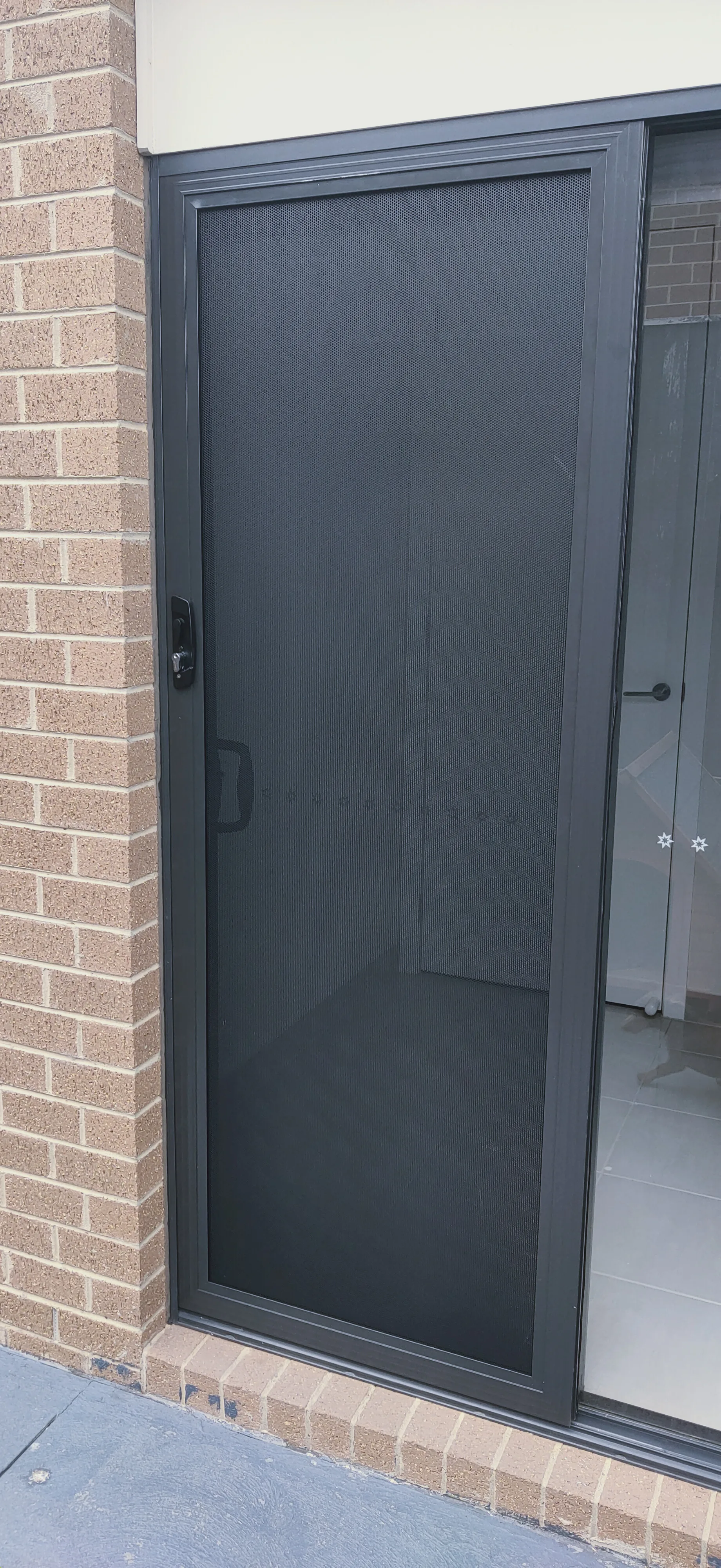 Close view of a black hinged security door with a lever handle and mesh infill